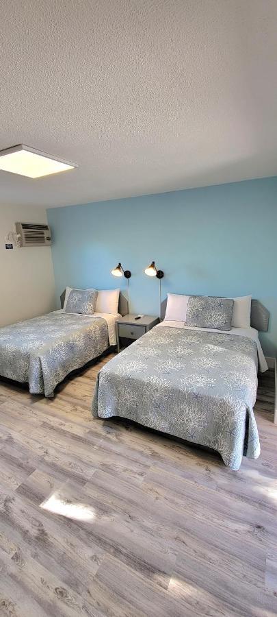 Satellite Motel 圣徒皮特海滩 外观 照片