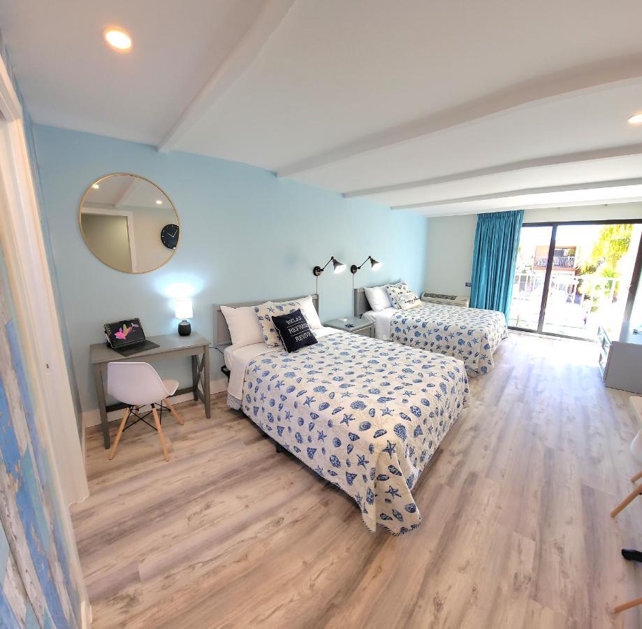 Satellite Motel 圣徒皮特海滩 外观 照片